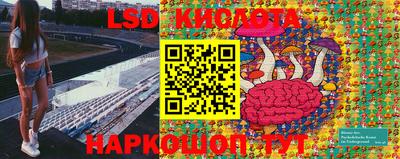 спиды Краснодар