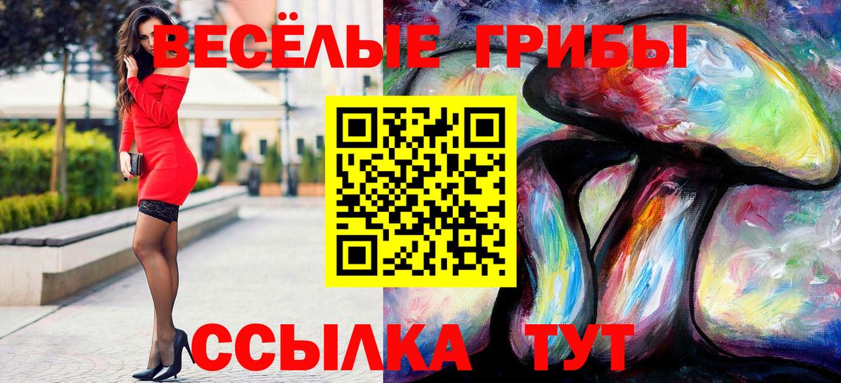 Псилоцибиновые грибы Psilocybine cubensis Коркино