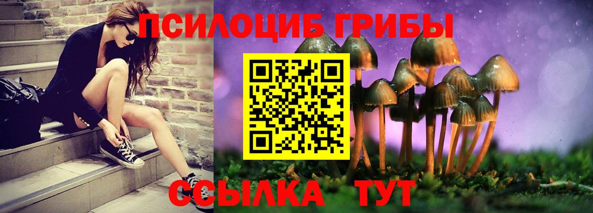 закладки  Псилоцибиновые грибы GOLDEN TEACHER  Вход с VPN  Коркино 